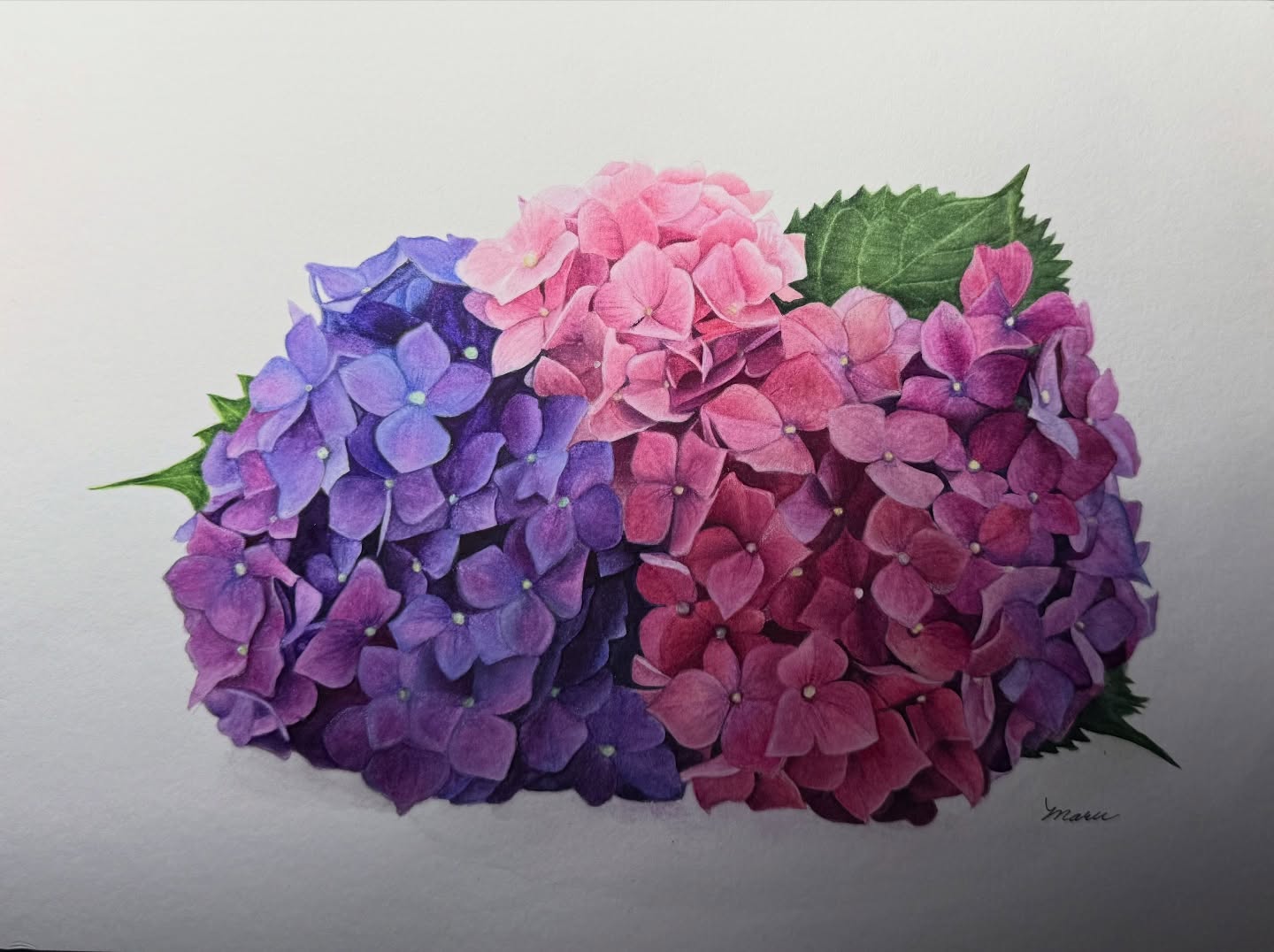 Maru González - maru_gonzlz