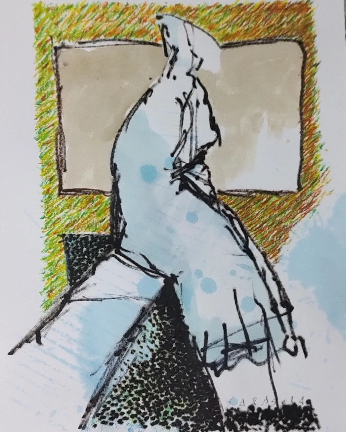 Raúl Sarasola - raulsarasola